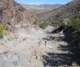 borrego066_small.jpg