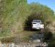 borrego067_small.jpg