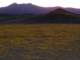 borrego069_small.jpg
