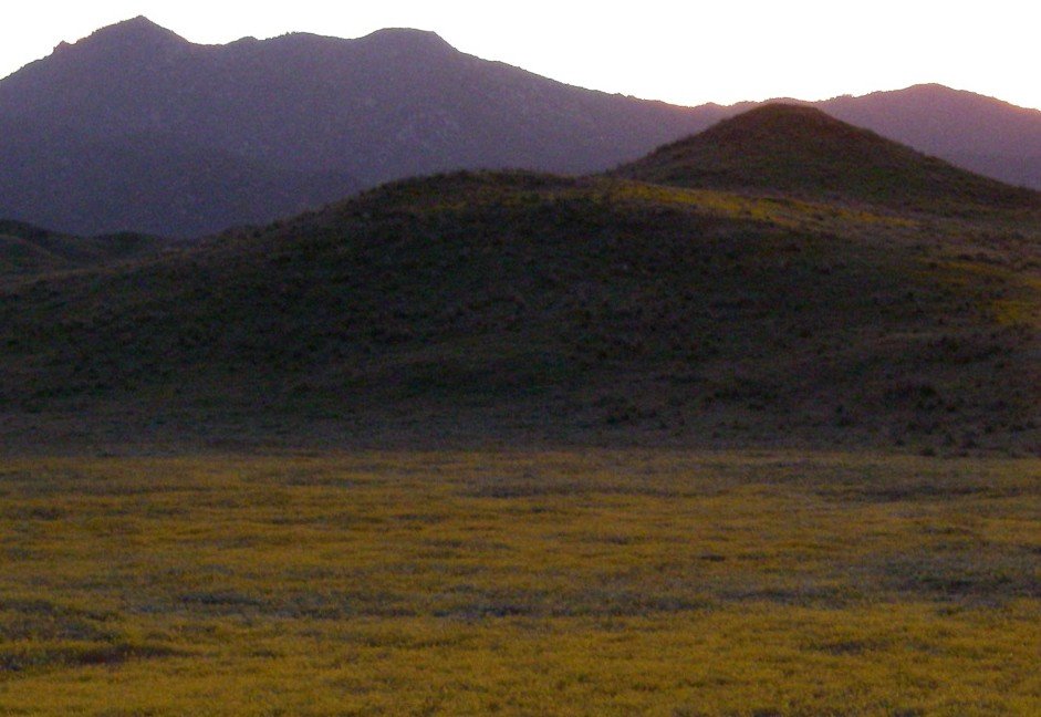 borrego071.jpg