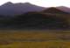 borrego071_small.jpg