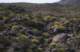 borrego080_small.jpg