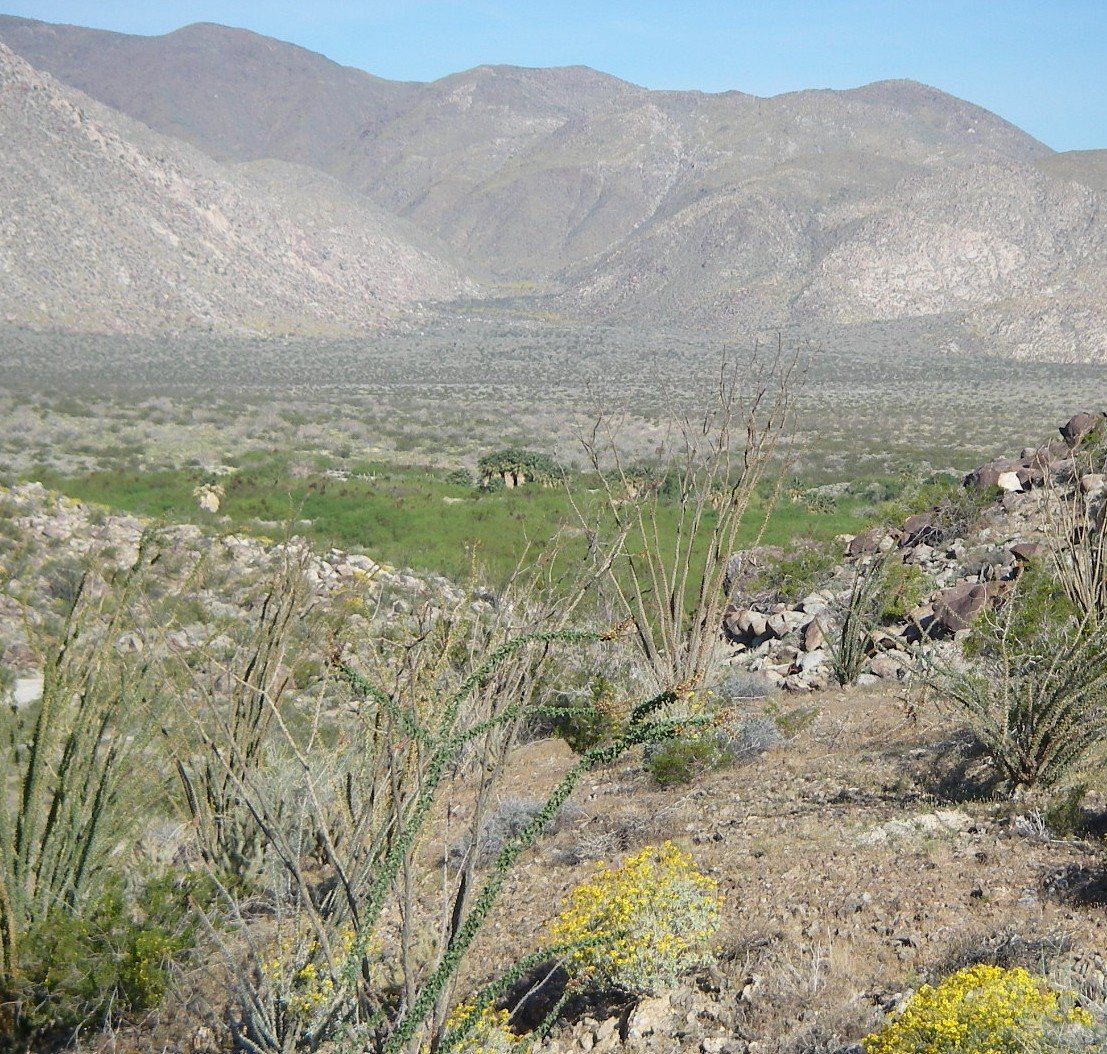 borrego081.jpg