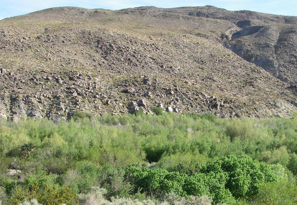 borrego083.jpg