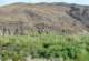 borrego083_small.jpg