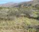 borrego088_small.jpg