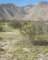 borrego090_small.jpg
