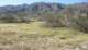 borrego091_small.jpg