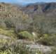 borrego094_small.jpg