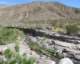 borrego102_small.jpg