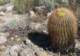 borrego105_small.jpg