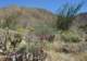 borrego109_small.jpg