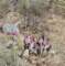 borrego113_small.jpg