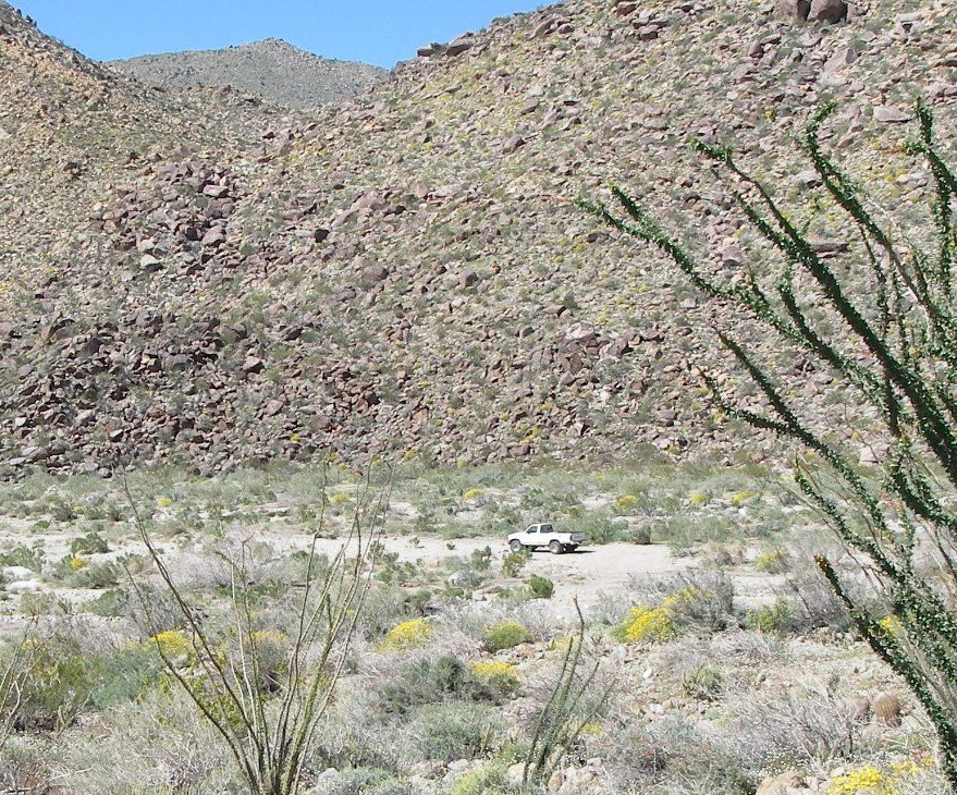 borrego117.jpg