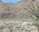 borrego117_small.jpg