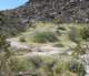 borrego119_small.jpg