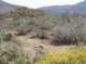borrego123_small.jpg