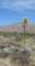 borrego124_small.jpg
