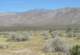 borrego126_small.jpg