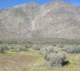 borrego127_small.jpg
