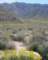 borrego132_small.jpg