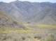 borrego133_small.jpg