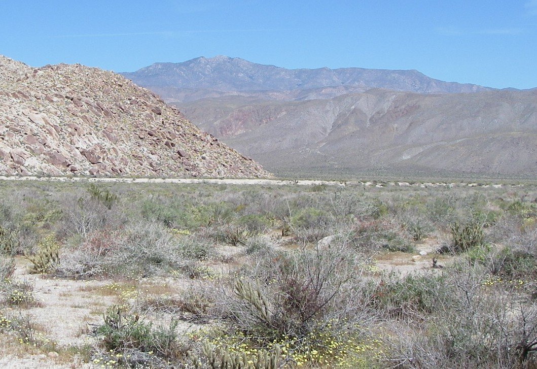 borrego136.jpg