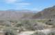 borrego137_small.jpg