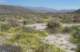 borrego140_small.jpg