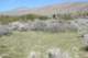 borrego141_small.jpg