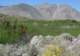 borrego144_small.jpg