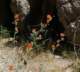 borrego146_small.jpg