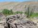 borrego149_small.jpg