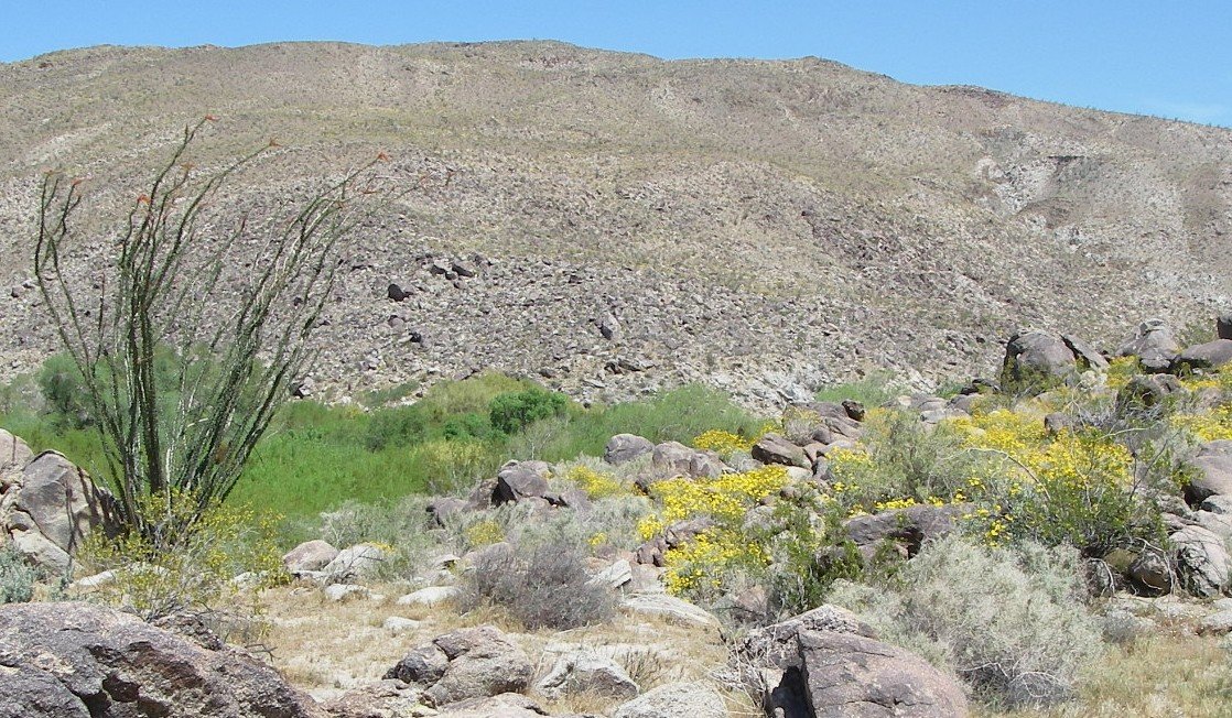 borrego150.jpg