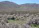 borrego153_small.jpg