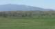 borrego157_small.jpg