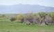 borrego158_small.jpg