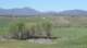 borrego159_small.jpg