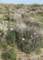 imgp2032_small.jpg