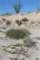 imgp2036_small.jpg