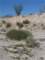 imgp2037_small.jpg