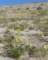 imgp2039_small.jpg