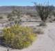 imgp2042_small.jpg