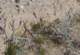 imgp2043_small.jpg