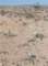 imgp2046_small.jpg