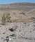 imgp2047_small.jpg