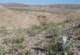 imgp2050_small.jpg