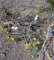 imgp2057_small.jpg