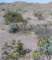 imgp2058_small.jpg