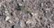 imgp2062_small.jpg